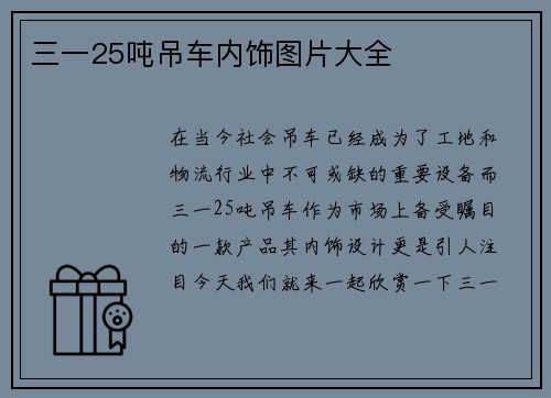 三一25吨吊车内饰图片大全