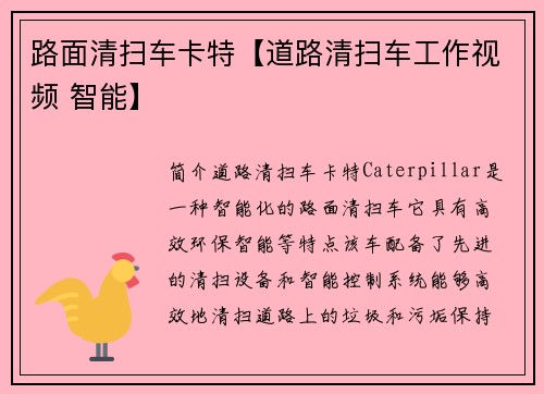 路面清扫车卡特【道路清扫车工作视频 智能】
